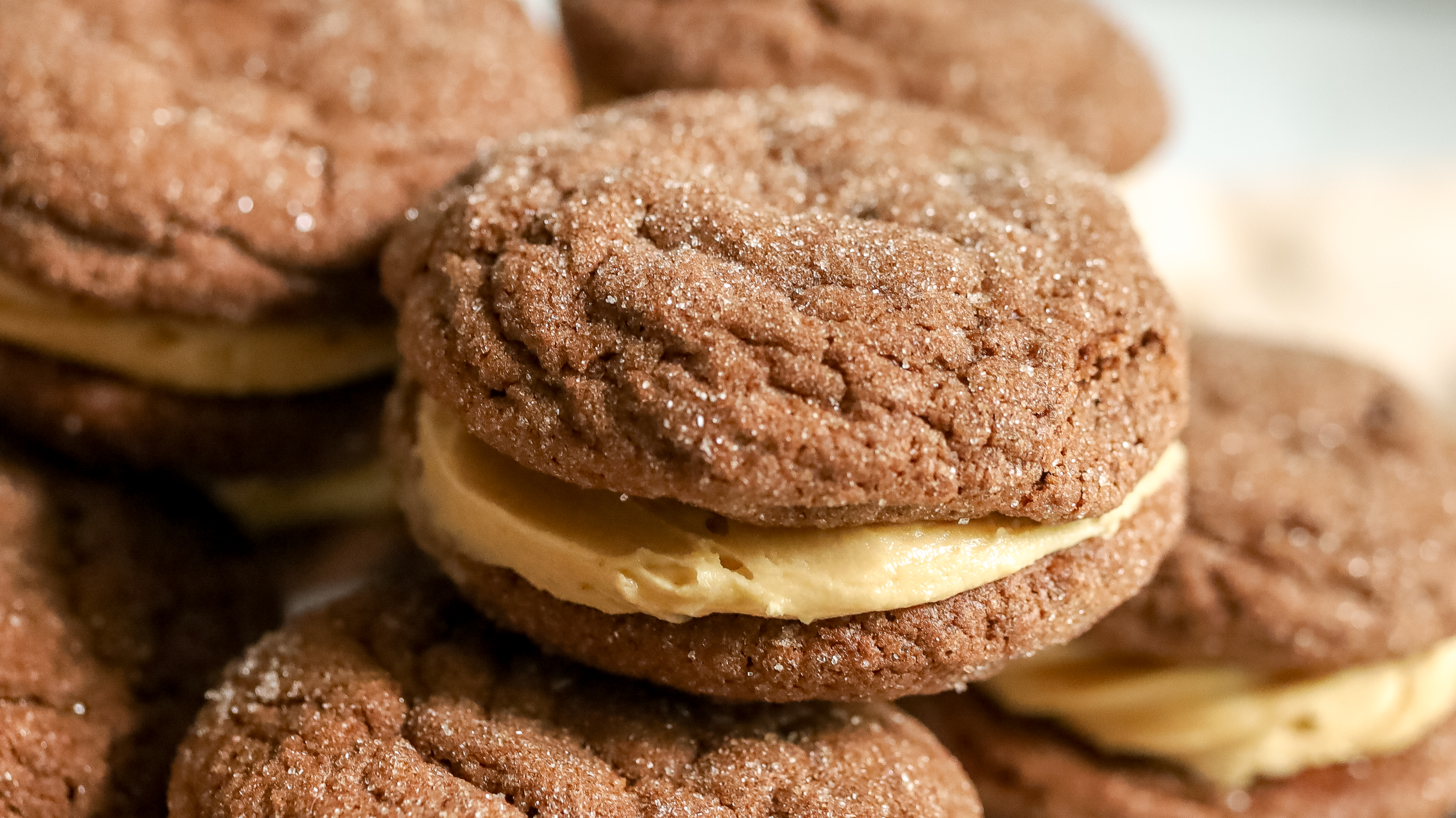 Close up of a chocolate sandwich cookies